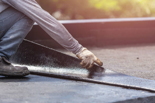 Professional Interior Drainage System technician working in Philo, IL